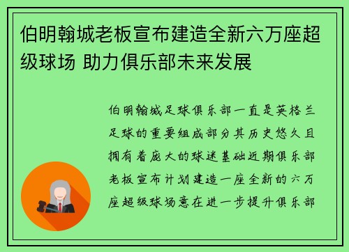 伯明翰城老板宣布建造全新六万座超级球场 助力俱乐部未来发展
