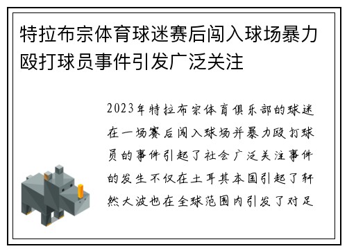 特拉布宗体育球迷赛后闯入球场暴力殴打球员事件引发广泛关注